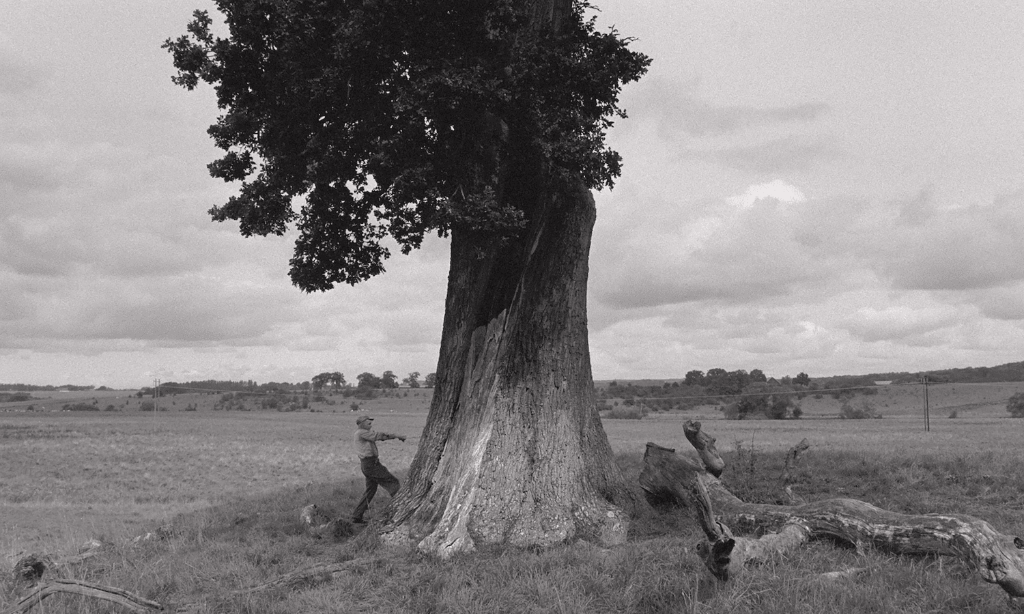 „Ultimul refugiu”, filmul lui John Skoog, deschide Bucharest International Film Festival – BIFF 2026, ediția XXII - Still 6