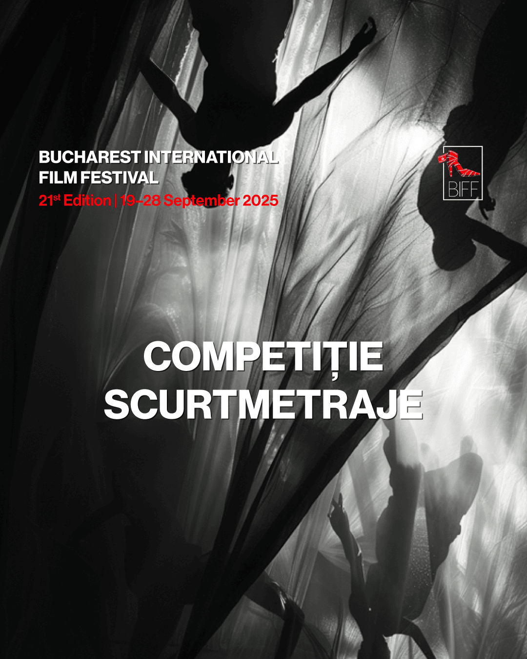 scurt-biff25-portrait